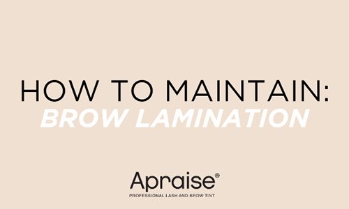 How to Maintain: Brow Lamination