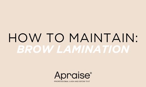 How to Maintain: Brow Lamination