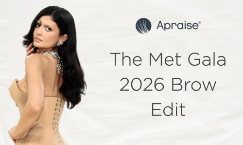 The Met Gala 2026 Brow Edit